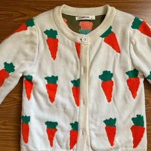 Boys Carrot Cardigan Sweater